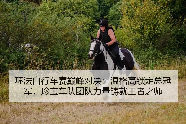 环法自行车赛巅峰对决：温格高锁定总冠军，珍宝车队团队力量铸就王者之师